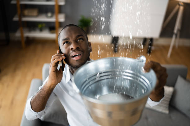 Best 24-hour water damage restoration  in Newellton, LA