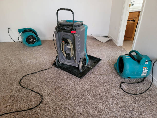 Best Emergency water damage restoration  in Newellton, LA