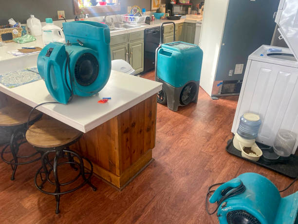 Best Water damage restoration mold remediation  in Newellton, LA