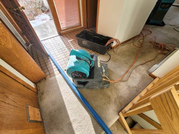 Best Flood damage cleanup  in Newellton, LA