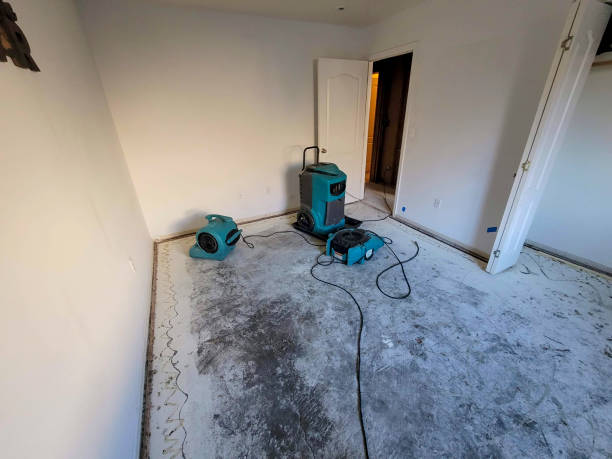 Best Water damage restoration near me  in Newellton, LA