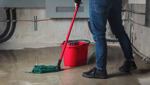 Best Water damage cleanup near me  in Newellton, LA