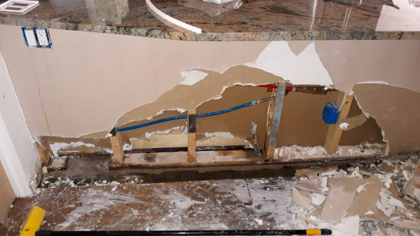Best 24-hour water damage restoration  in Newellton, LA