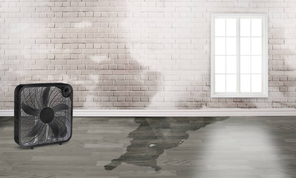 Best Residential water damage restoration  in Newellton, LA