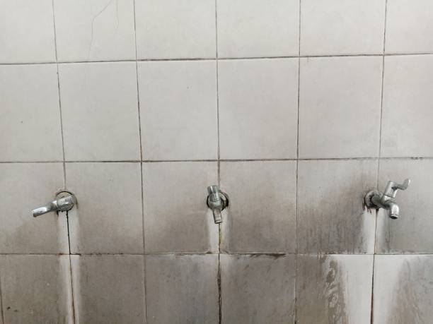 Best Fire Damage Restoration  in Newellton, LA