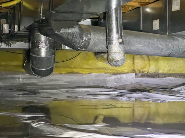 Best Mold removal after water damage  in Newellton, LA