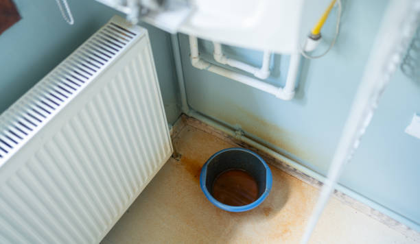 Best Flooded house restoration  in Newellton, LA