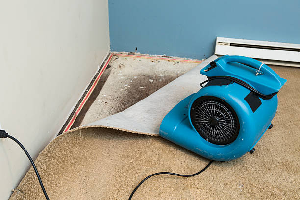  Newellton, LA Water damage restoration Pros